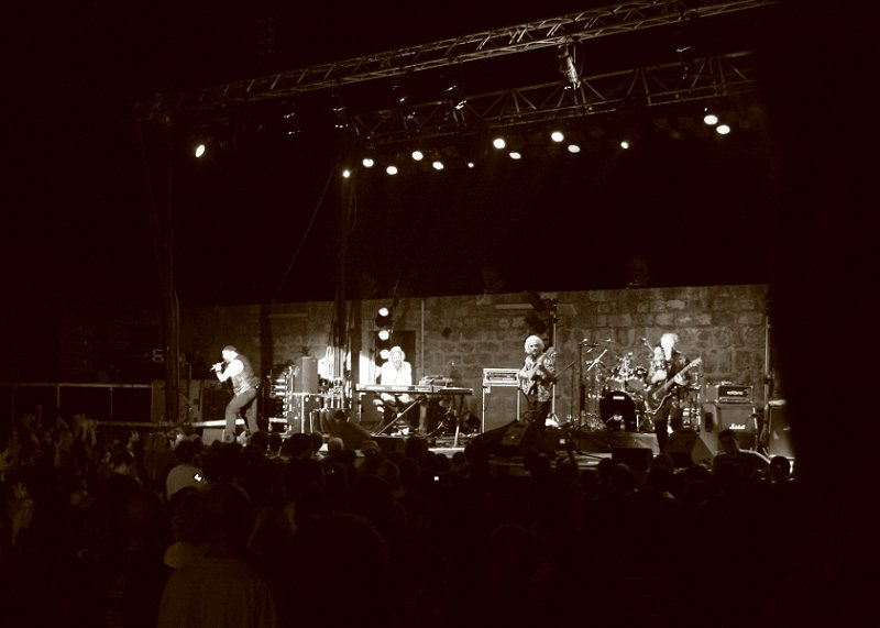 ג'טרו טאל בשוני - צילום - פני ליין