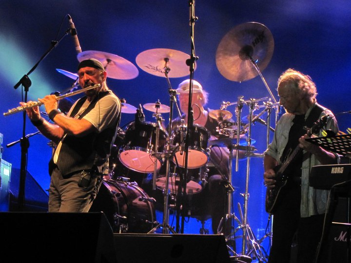 ג'טרו טאל בירושלים - צילום: תומר יודלביץ