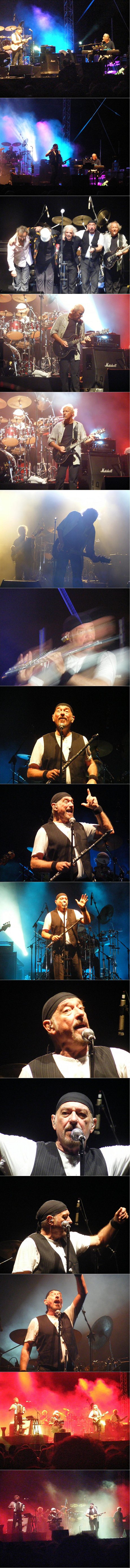 ג'טרו טאל בירושלים - צילום: אבינועם לסרי