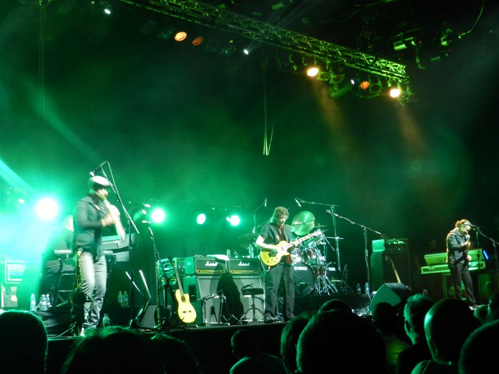 סטיב האקט בתל אביב. צילום: שמגר בר חמא