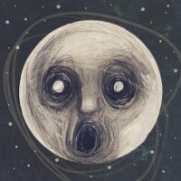 The Raven That Refused To Sing by Steven Wilson