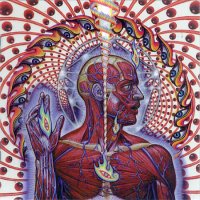 Lateralus by Tool