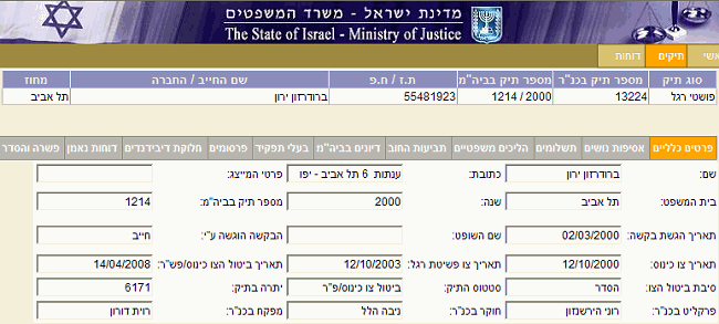 כונס נכסים ראשי - התיק של ירון ברודרזון