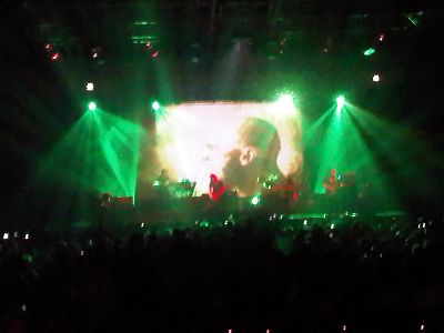 פורקיופיין טרי בתל אביב - צילם אברהם שכטר