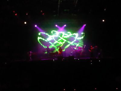 פורקיופיין טרי בתל אביב - צילם אברהם שכטר