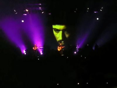 פורקיופיין טרי בתל אביב - צילם אברהם שכטר