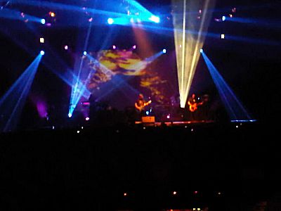 פורקיופיין טרי בתל אביב - צילם אברהם שכטר