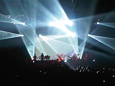 פורקיופיין טרי בתל אביב - צילם אברהם שכטר