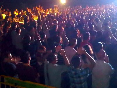 פורקיופיין טרי בתל אביב - צילם אברהם שכטר