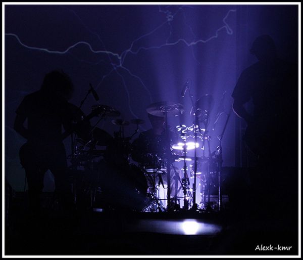 פורקיופיין טרי - צילום מאת אלכס ק.