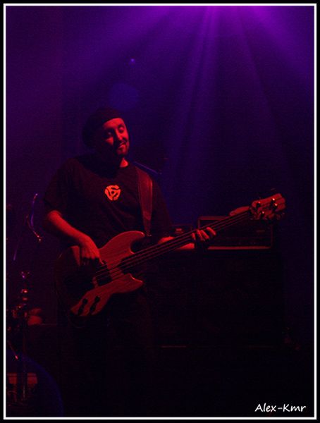 פורקיופיין טרי - צילום מאת אלכס ק.