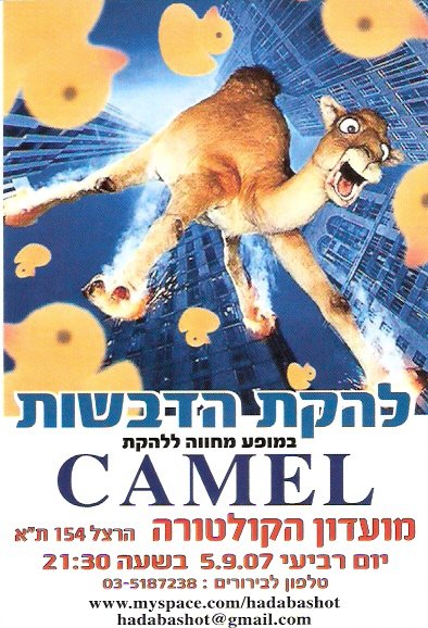 קאמל בקולטורה - חמישה בספטמבר 2007
