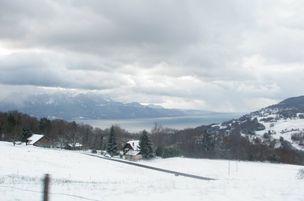 ������ ������� - 