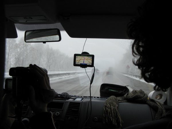 ������ ������� - 