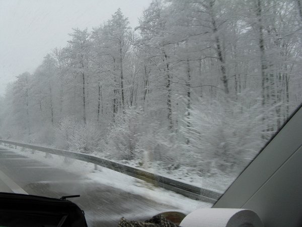 ������ ������� - 