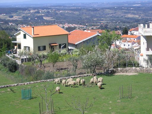 גובאיה פורטוגל