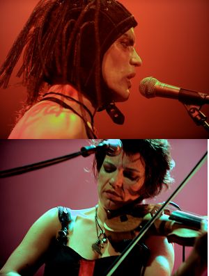 סליפיטיים גורילה מיוזיאום