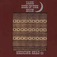 Dark Side of the Moon - Medicine Head 1972
