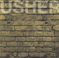 פיטר האמיל - נפילת בית אשר